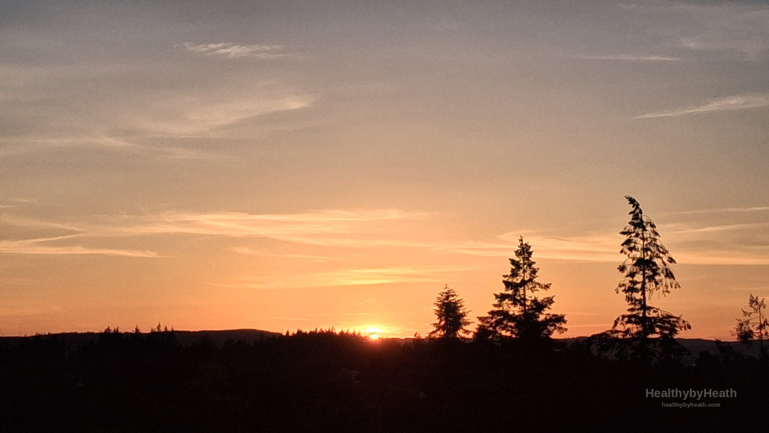Sunset over evergreen trees in the Pacific Northwest